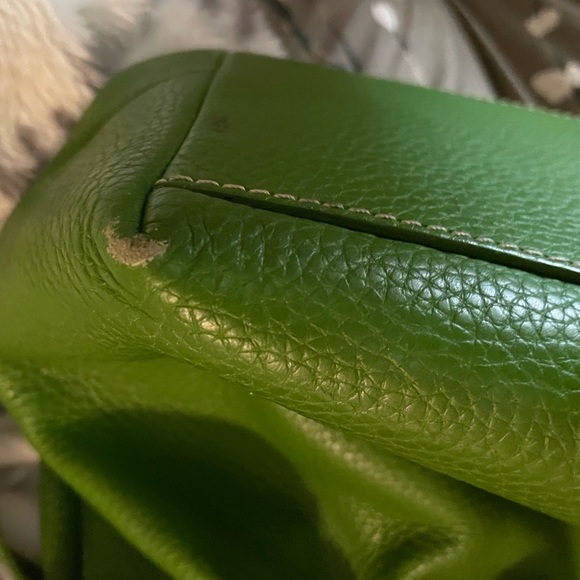 Dooney & Bourke Bright Green Pebbled Leather Tote with Buckle Straps - Picture 7 of 7